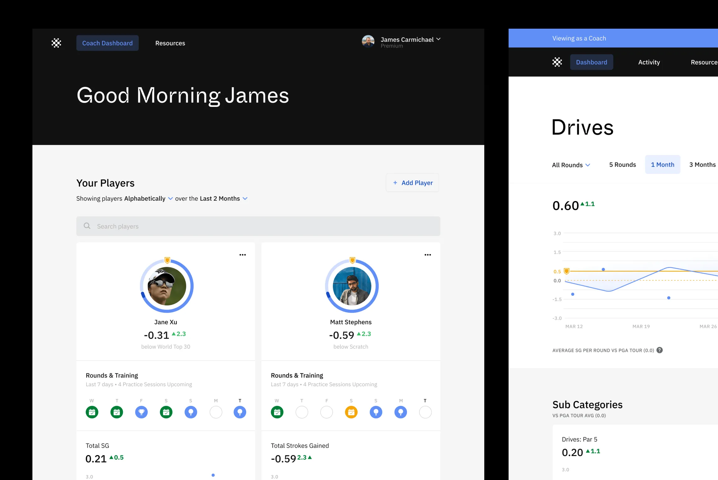 Coach view and player insights
